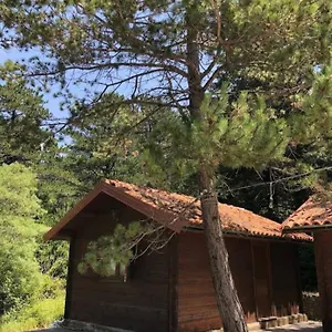 the-old-mans-chalet.albaniahotels.org/